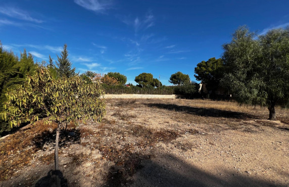 For Sale - Fincas y solares - Elche - Altabix