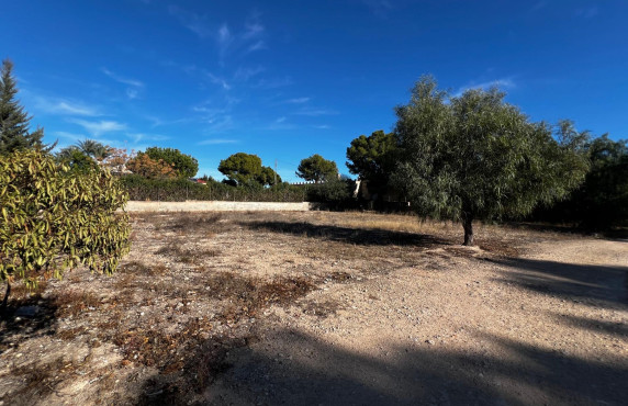 For Sale - Fincas y solares - Elche - Altabix