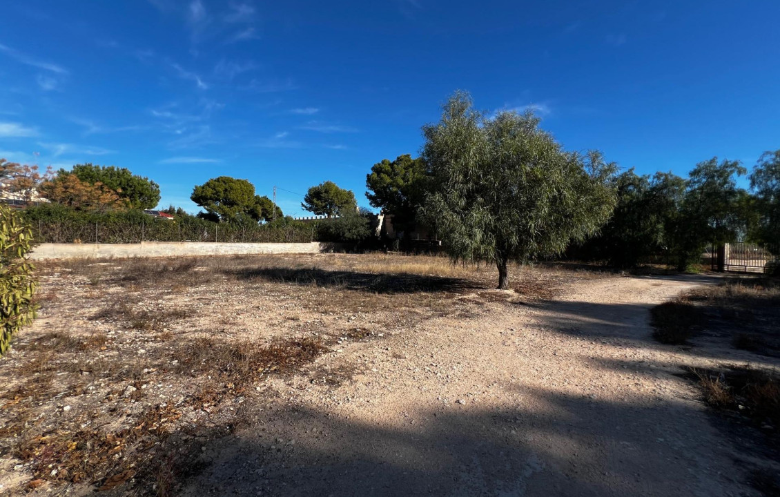 For Sale - Fincas y solares - Elche - Altabix