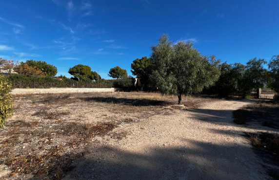 For Sale - Fincas y solares - Elche - Altabix