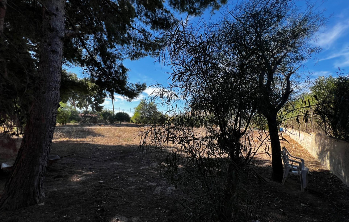 For Sale - Fincas y solares - Elche - Altabix