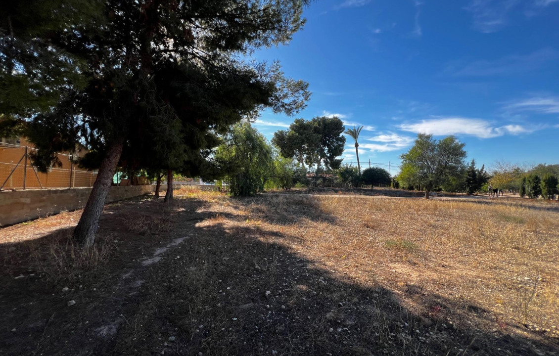 For Sale - Fincas y solares - Elche - Altabix