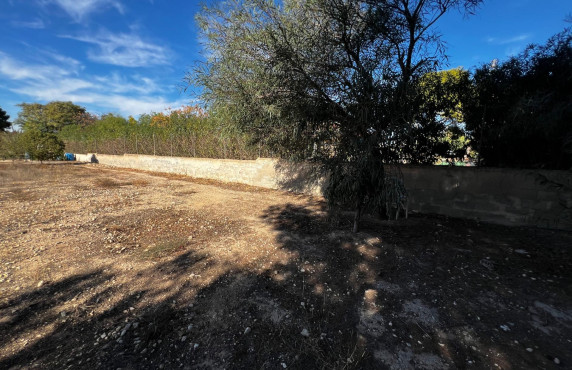 For Sale - Fincas y solares - Elche - Altabix