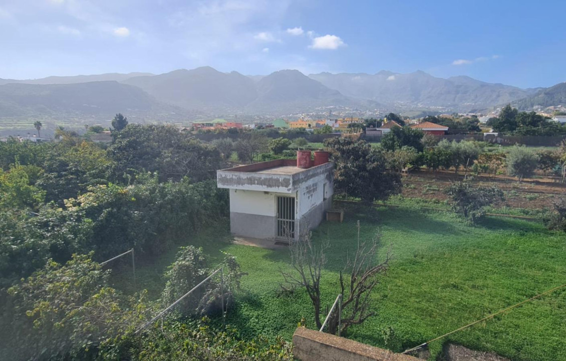 Venta - Locales - Valsequillo de Gran Canaria - AGUACATE