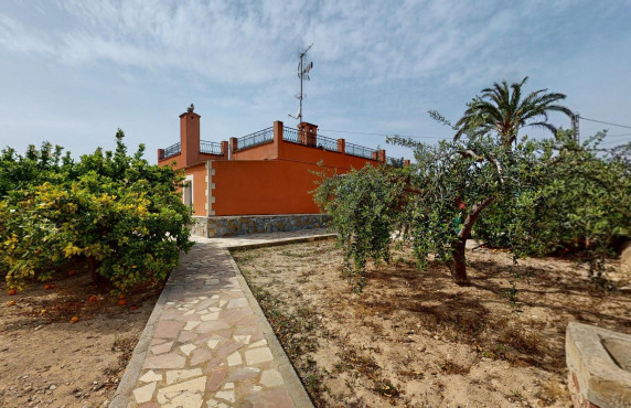 Venta - Casas o chalets - Elche - LLANO SAN JOSE