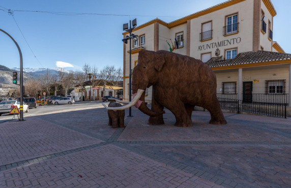 For Sale - Pisos - Padul - de Andalucía