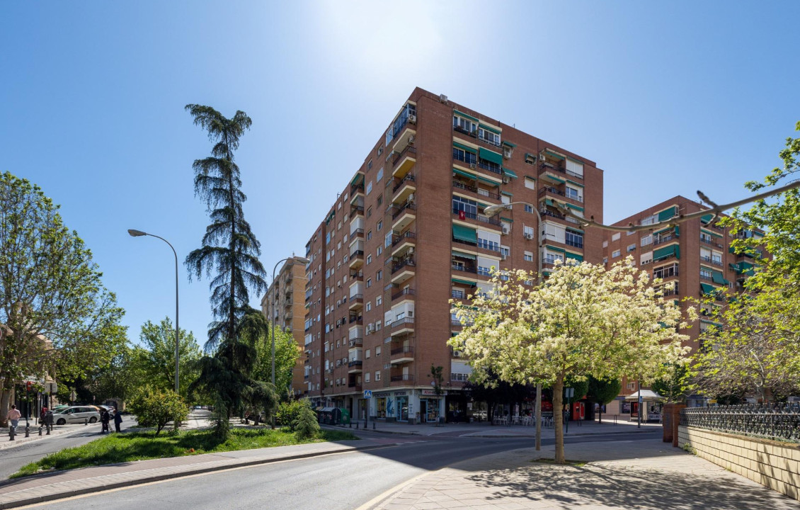 For Sale - Locales - Granada - Primavera