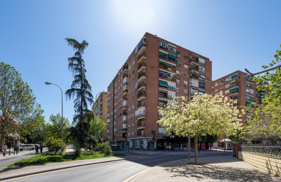 For Sale - Locales - Granada - Primavera