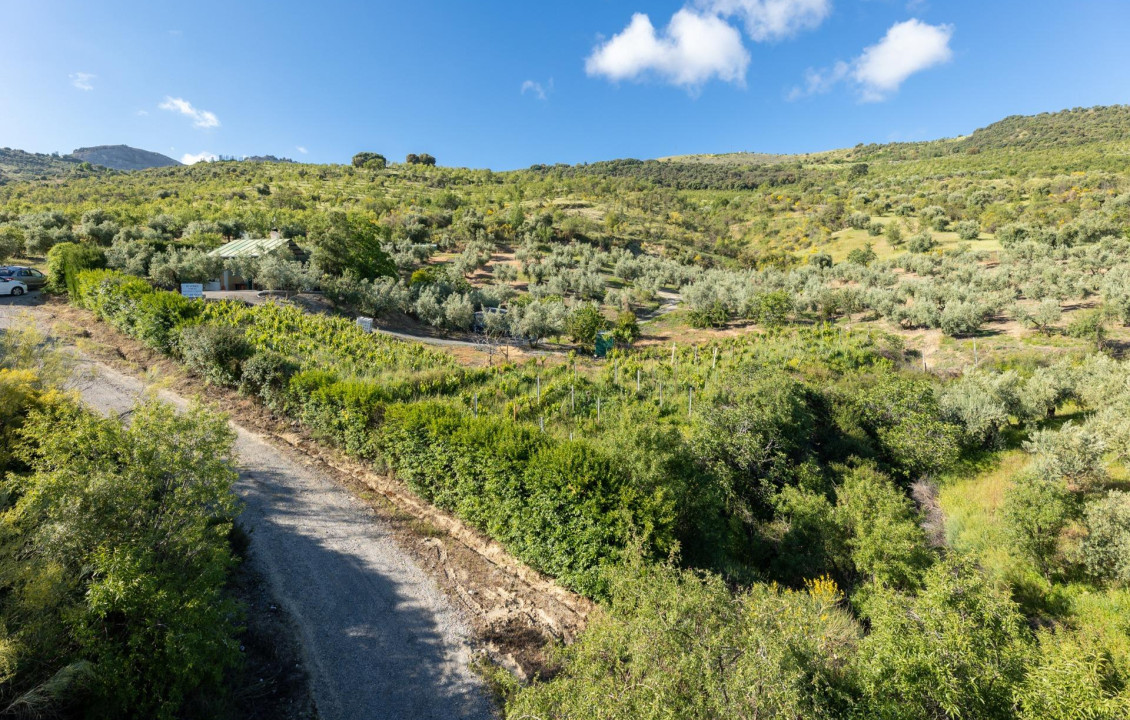 Venta - Fincas y solares - Pinos Genil - Sierra Nevada