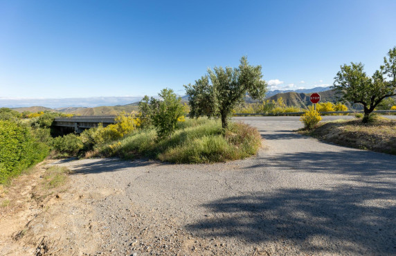 Venta - Fincas y solares - Pinos Genil - Sierra Nevada