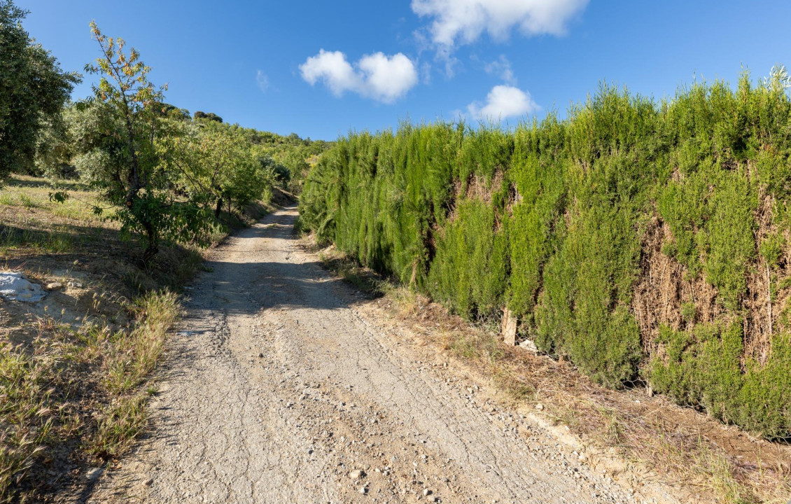 Venta - Fincas y solares - Pinos Genil - Sierra Nevada