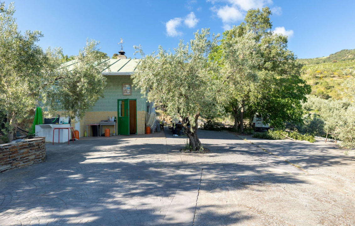 Venta - Fincas y solares - Pinos Genil - Sierra Nevada