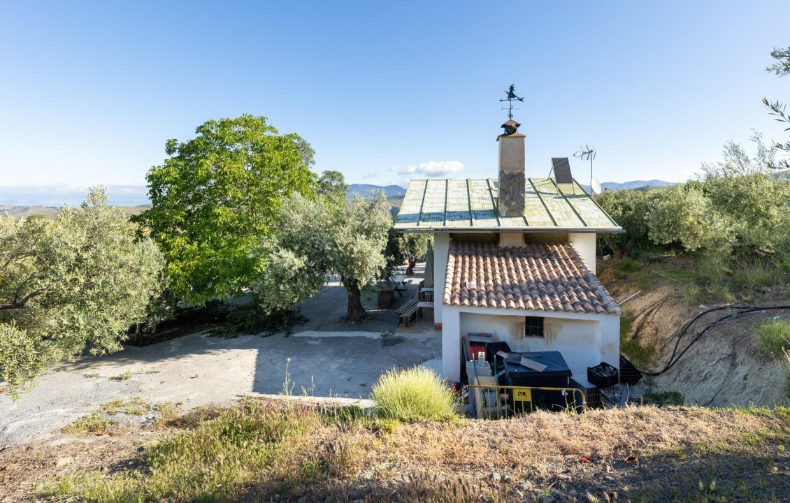 For Sale - Fincas y solares - Pinos Genil - Sierra Nevada