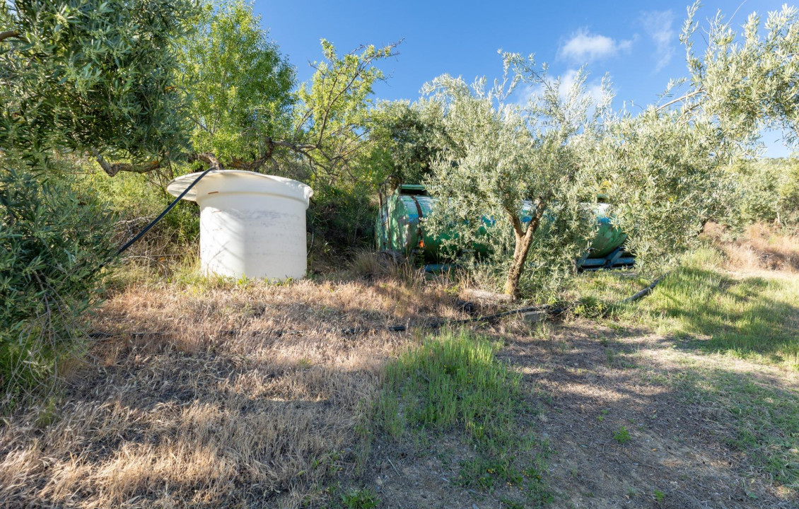 Venta - Fincas y solares - Pinos Genil - Sierra Nevada