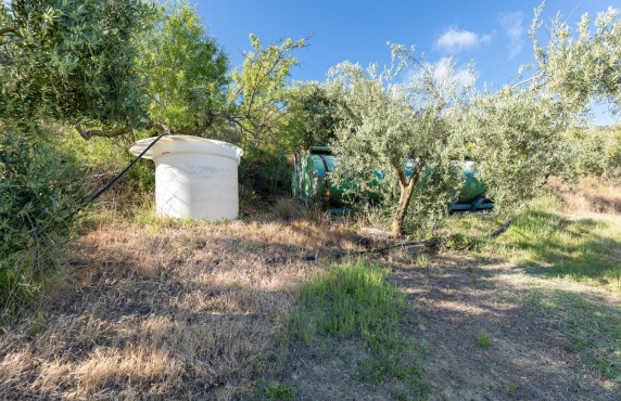 Venta - Fincas y solares - Pinos Genil - Sierra Nevada