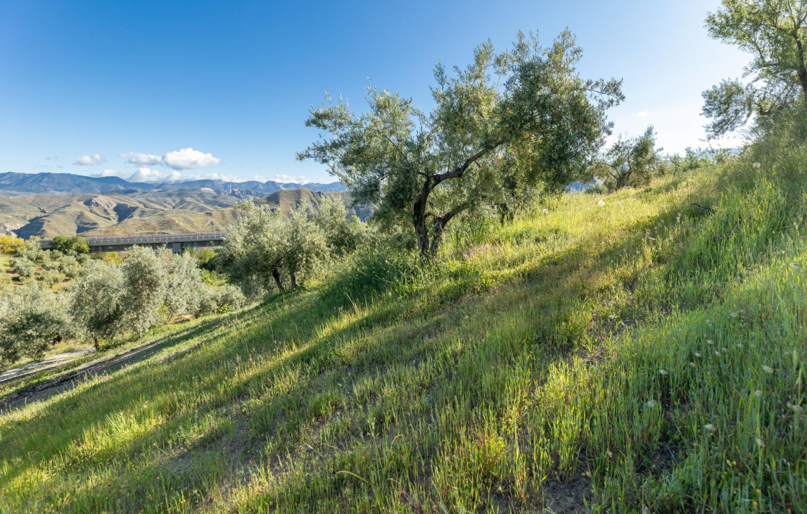 For Sale - Fincas y solares - Pinos Genil - Sierra Nevada