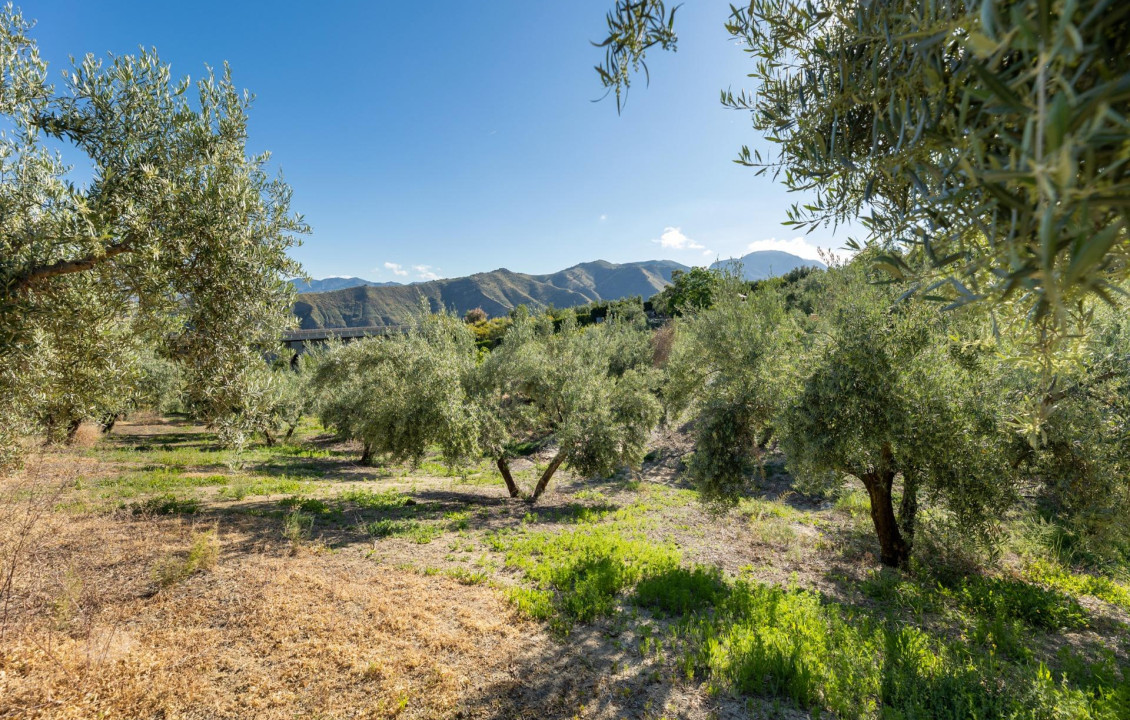 For Sale - Fincas y solares - Pinos Genil - Sierra Nevada