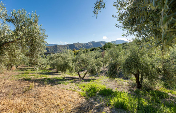 For Sale - Fincas y solares - Pinos Genil - Sierra Nevada