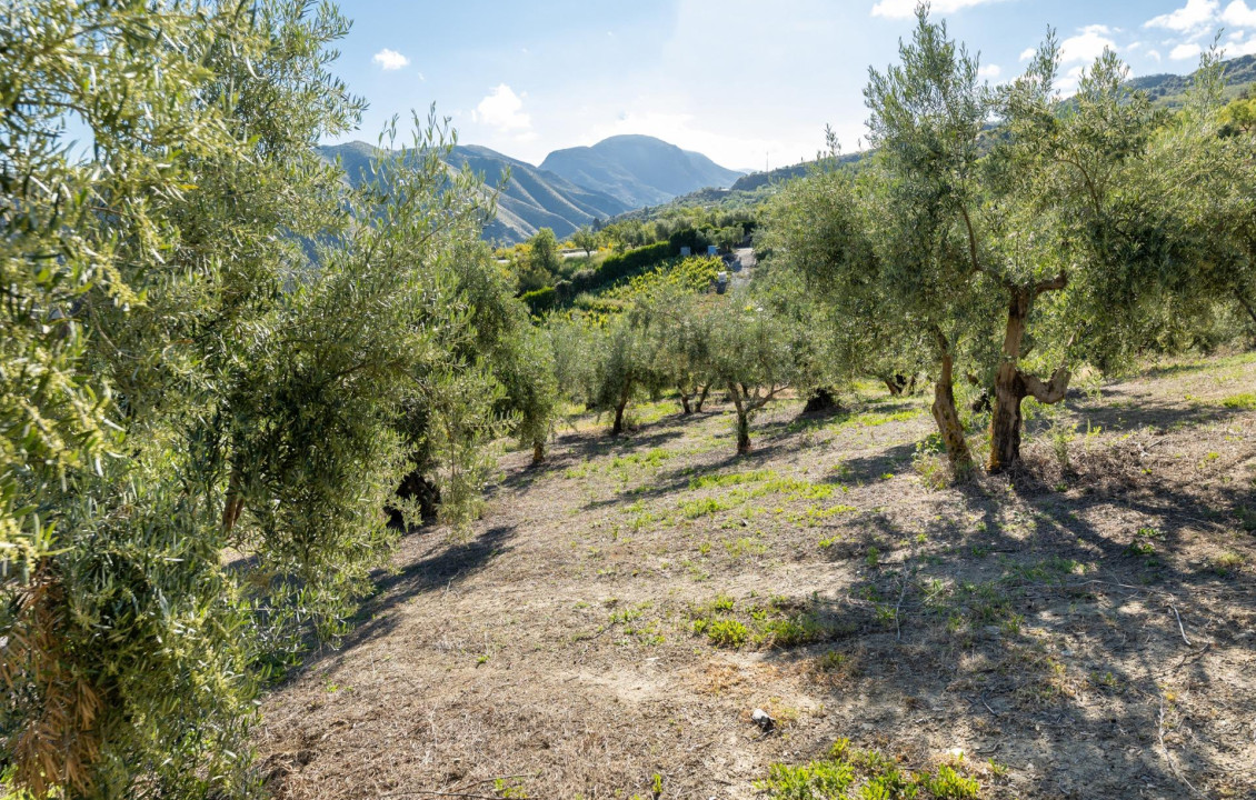 For Sale - Fincas y solares - Pinos Genil - Sierra Nevada