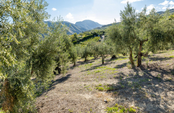 For Sale - Fincas y solares - Pinos Genil - Sierra Nevada