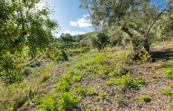 For Sale - Fincas y solares - Pinos Genil - Sierra Nevada