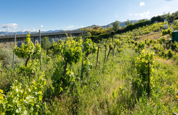 Venta - Fincas y solares - Pinos Genil - Sierra Nevada