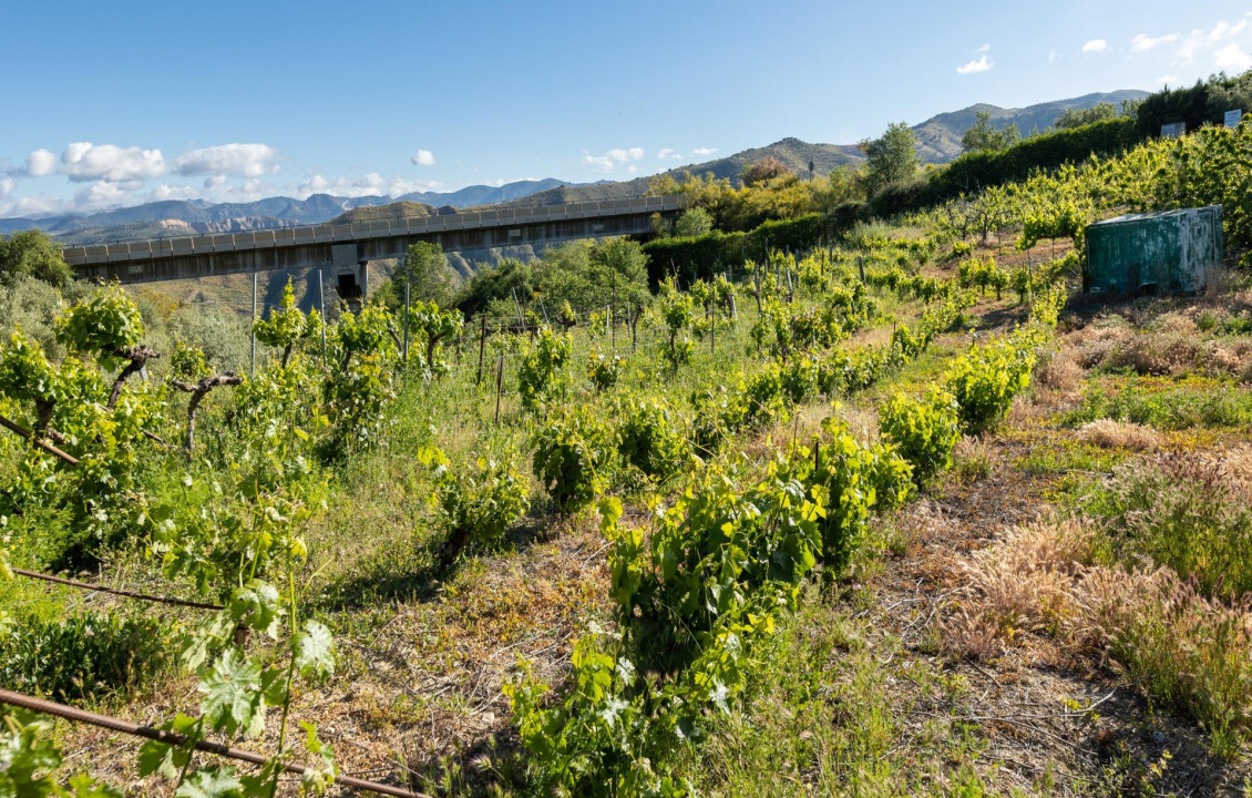 Venta - Fincas y solares - Pinos Genil - Sierra Nevada