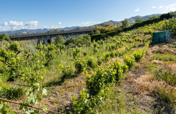 Venta - Fincas y solares - Pinos Genil - Sierra Nevada