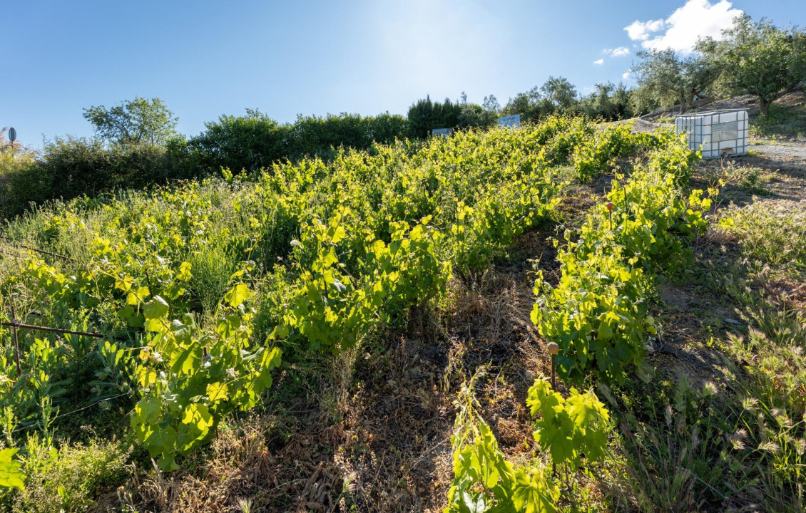 Venta - Fincas y solares - Pinos Genil - Sierra Nevada