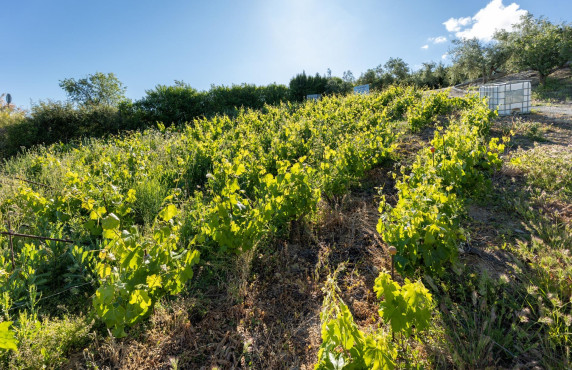 Venta - Fincas y solares - Pinos Genil - Sierra Nevada