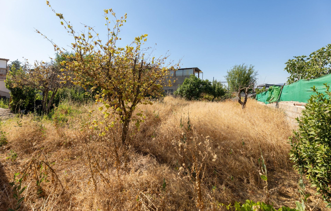 Venta - Casas o chalets - Ogíjares - de la Alcazaba