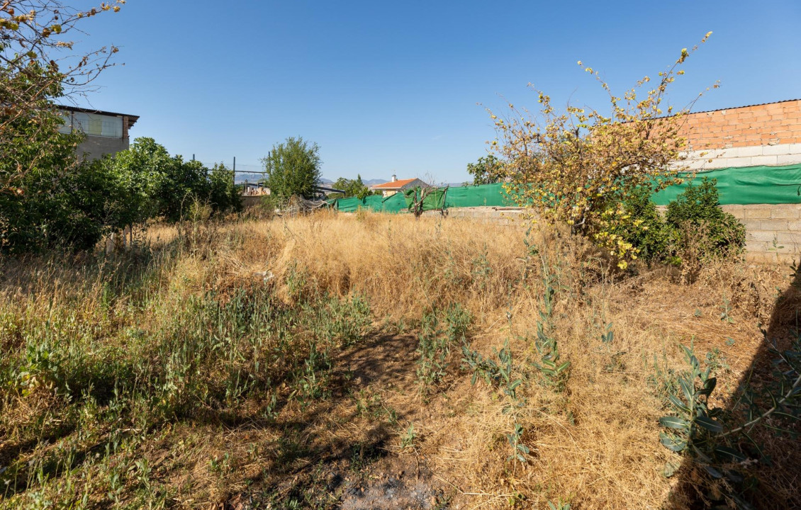 Venta - Casas o chalets - Ogíjares - de la Alcazaba