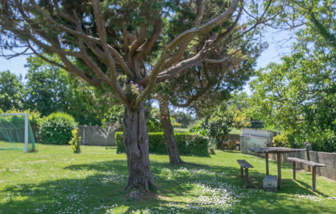 Venta - Casas o chalets - Bergondo - Sanín