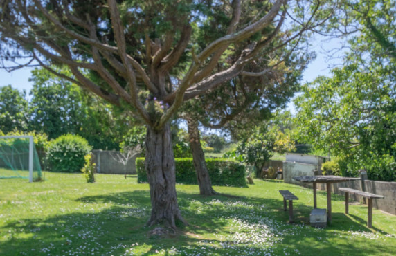 Venta - Casas o chalets - Bergondo - Sanín