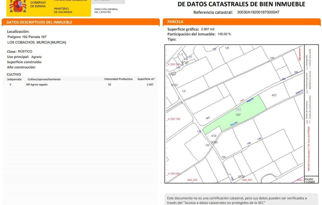 For Sale - Fincas y solares - Murcia - Polígono 192 Parcela 187 LOS COBACHOS. MURCIA (MU