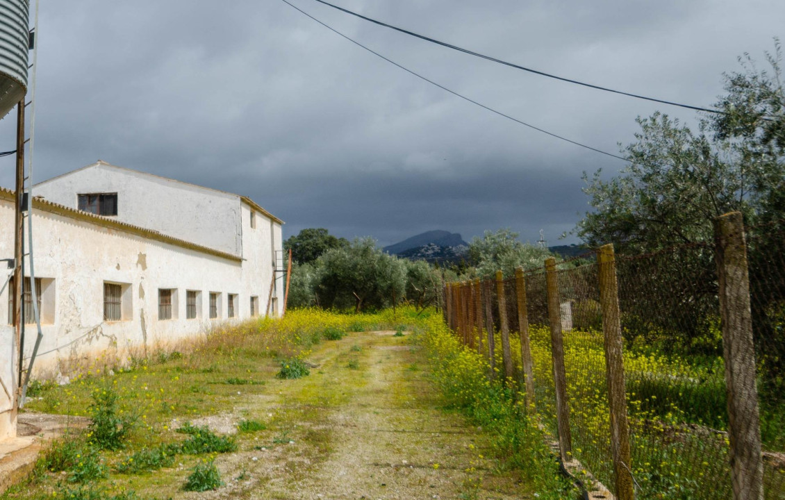 Venta - Fincas y solares - Ronda - Carretera C-344