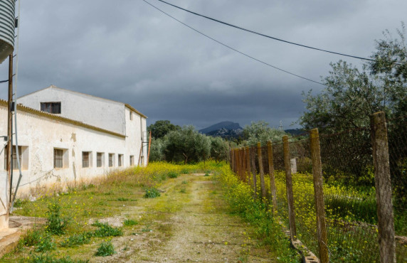 Venta - Fincas y solares - Ronda - Carretera C-344