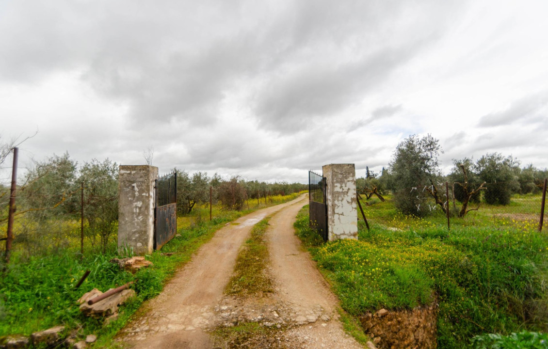 Venta - Fincas y solares - Ronda - Carretera C-344