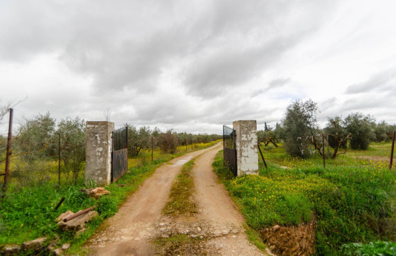 Venta - Fincas y solares - Ronda - Carretera C-344