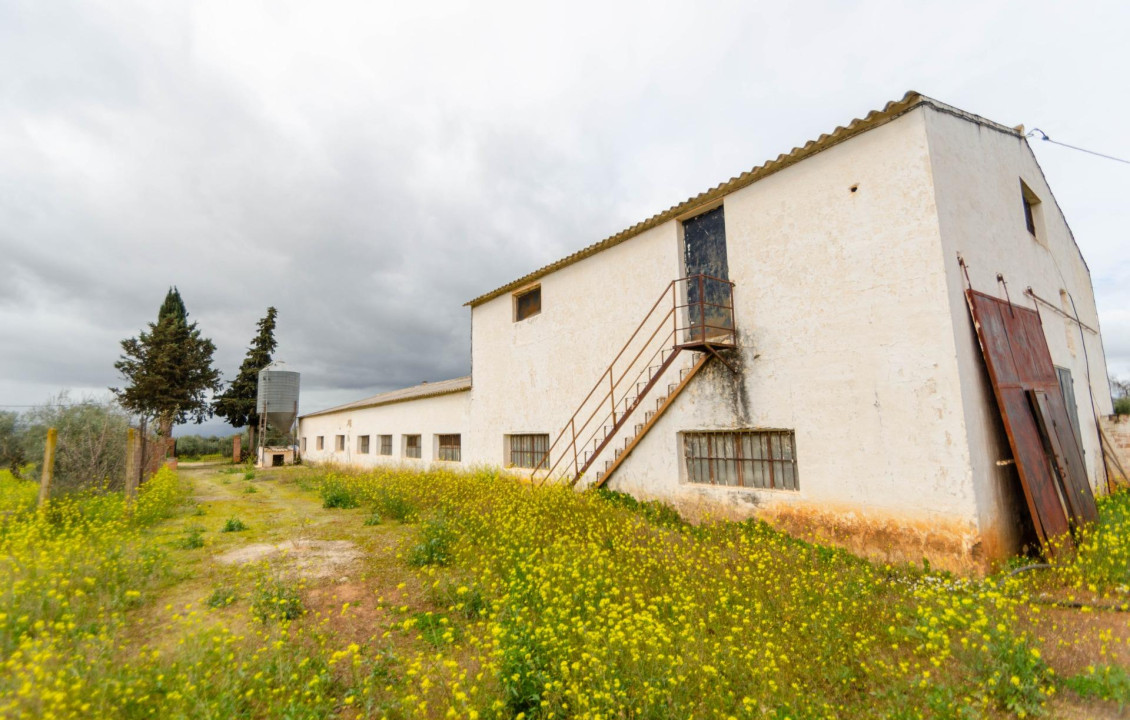 Venta - Fincas y solares - Ronda - Carretera C-344