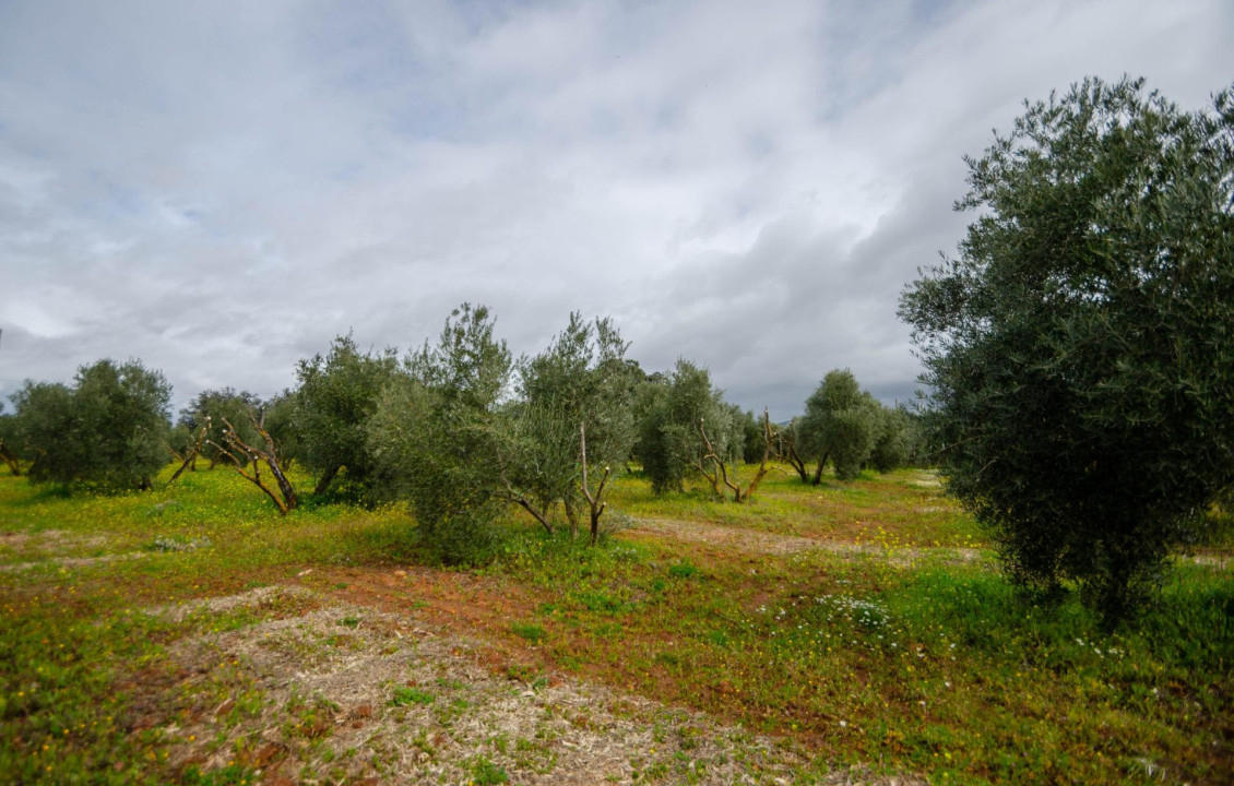 Venta - Fincas y solares - Ronda - Carretera C-344