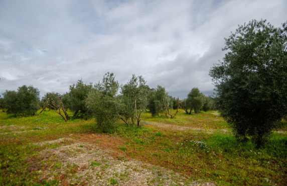 Venta - Fincas y solares - Ronda - Carretera C-344