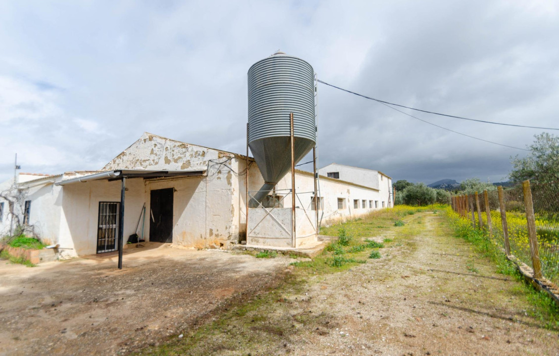 Venta - Fincas y solares - Ronda - Carretera C-344