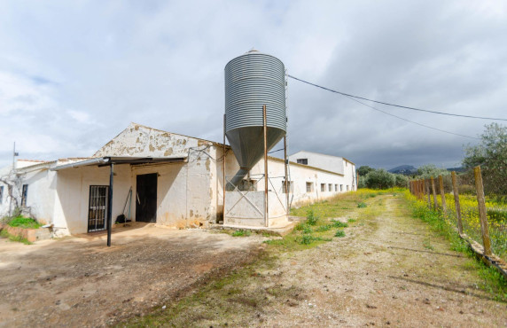 Venta - Fincas y solares - Ronda - Carretera C-344