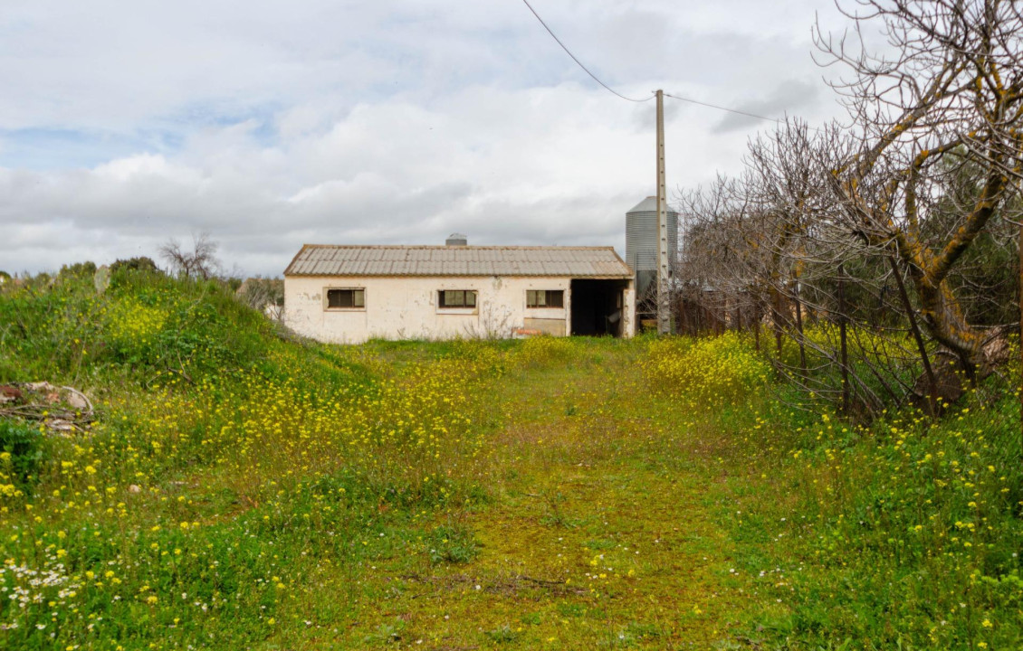 Venta - Fincas y solares - Ronda - Carretera C-344