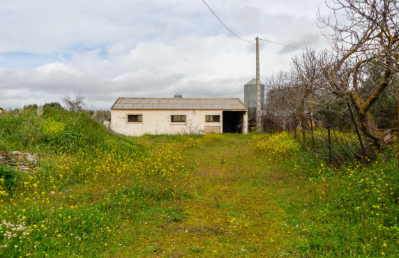 Venta - Fincas y solares - Ronda - Carretera C-344