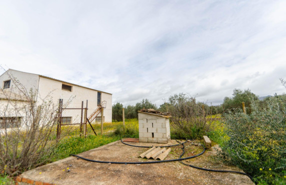 Venta - Fincas y solares - Ronda - Carretera C-344