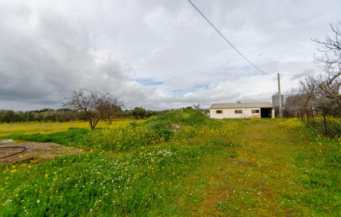 Venta - Fincas y solares - Ronda - Carretera C-344