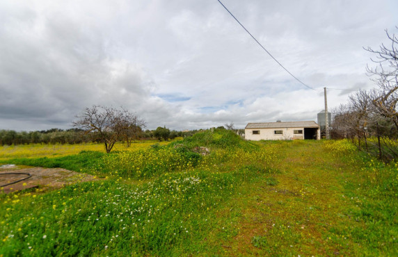 Venta - Fincas y solares - Ronda - Carretera C-344