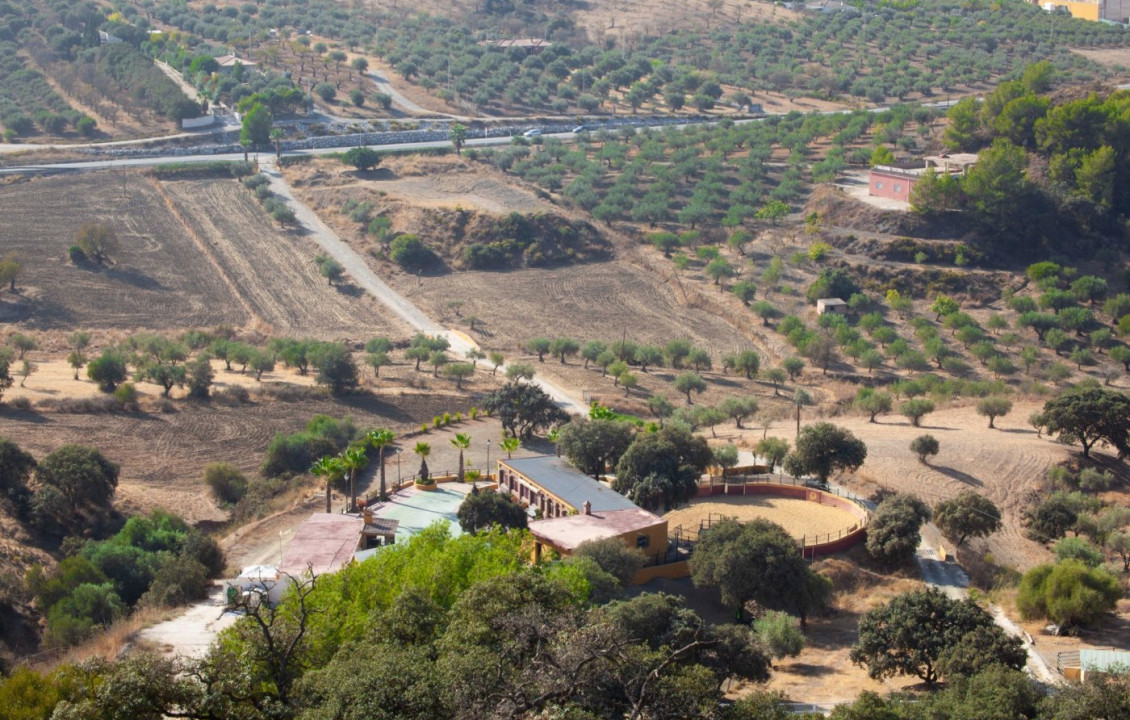 Venta - Casas o chalets - Monda - Finca Buenavista